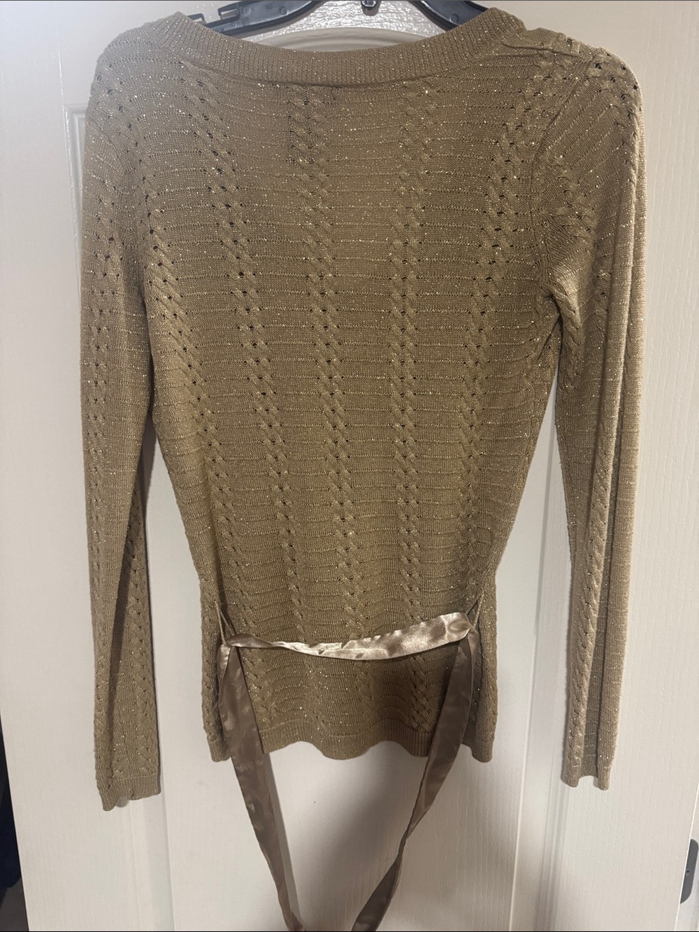 New York & Company Shimmery Tan/Cream V-Neck Sweater with Satin Waist Tie - Picture 5 of 5